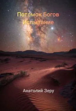 Анатолий Зеру Испытание [СИ] обложка книги