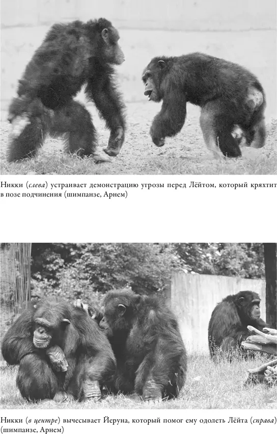 Сноски 1 Смит А Теория нравстве - фото 7