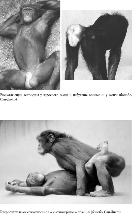 Сноски 1 Смит А Теория нравственных чувств М Республика 1997 2 - фото 10