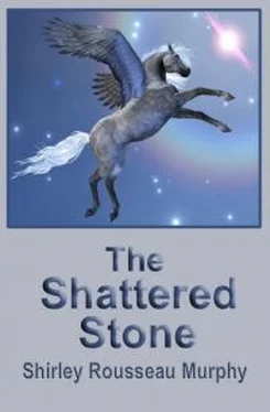 Ширли Мерфи The Shattered Stone [calibre] обложка книги