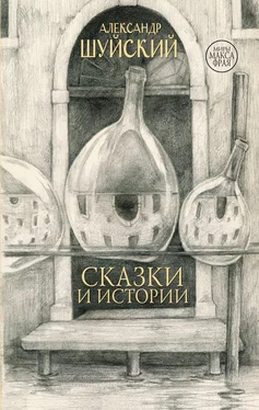 Александр Шуйский Сказки и истории [сборник litres] обложка книги