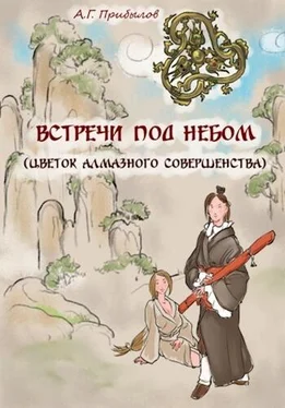Александр Прибылов Встречи под Небом обложка книги