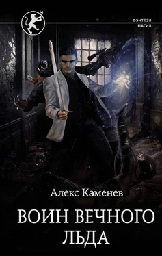 Алекс Каменев Воин вечного льда [litres] обложка книги