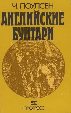 Чарлз Поулсен Английские бунтари обложка книги