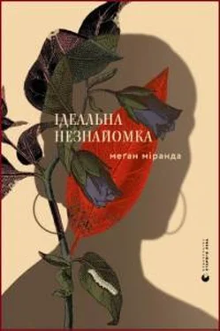 Меган Миранда Ідеальна незнайомка обложка книги