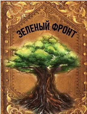 Руслан Агишев Зеленый фронт [СИ] обложка книги