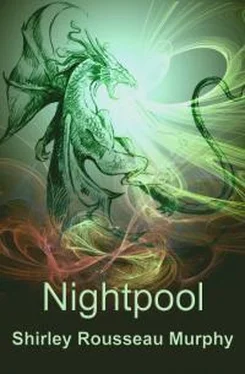 Ширли Мерфи Nightpool обложка книги