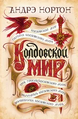 Андрэ Нортон - Колдовской мир [сборник litres]