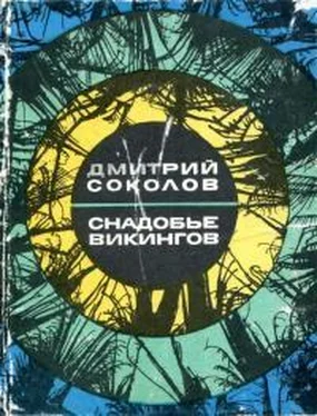 Дмитрий Соколов Снадобье викингов обложка книги