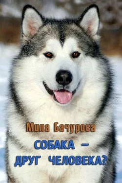 Мила Бачурова Собака — друг человека? обложка книги