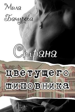 Мила Бачурова Страна цветущего шиповника обложка книги