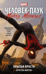 Бриттни Моррис - Человек-Паук. Майлз Моралес. Крылья ярости [litres]