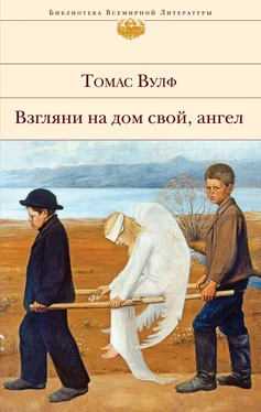 Томас Вулф Взгляни на дом свой, ангел [litres] обложка книги