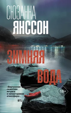 Сюзанна Янссон Зимняя вода обложка книги