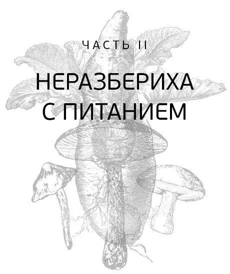 Глава 4 Состояние питания Мне нечего было предложить никому кроме - фото 7