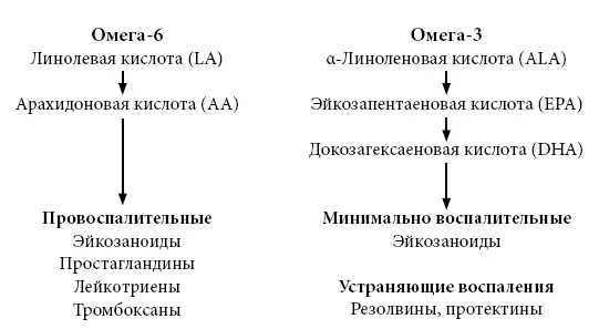 Когда мы рассматриваем потребление жиров с этой точки зрения становится - фото 24