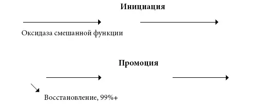 Мы исследовали 10 возможных механизмов во время инициации и промоции которые - фото 44