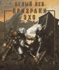 Оксана Токарева - Призраки Эхо