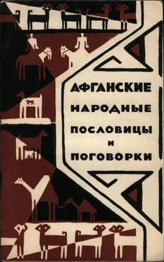 Коллектив авторов Афоризмы Афганские народные пословицы и поговорки обложка книги