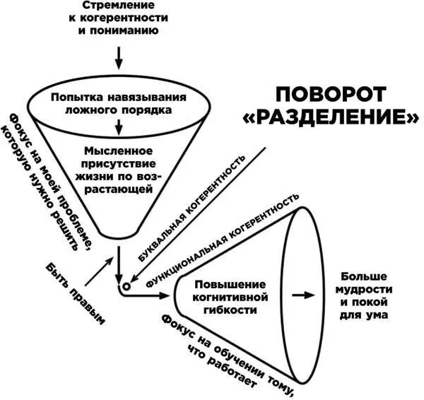 Я назову это функциональной когерентностью она направляет стремление человека - фото 3