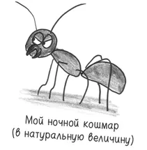 Муравьи вселяют ужас Они поднимают предметы в 50 раз превышающие массу их - фото 102
