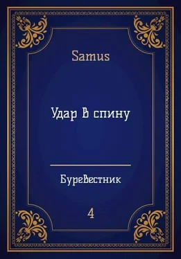 Самат Сейтимбетов Удар в спину обложка книги