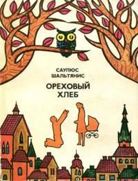 Саулюс Шальтянис Ореховый хлеб [сборник] обложка книги