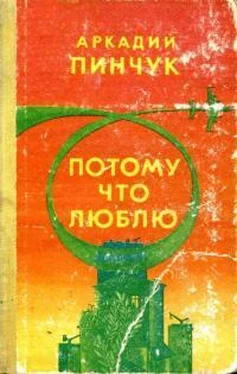 Аркадий Пинчук Потому что люблю [сборник] обложка книги