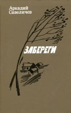 Аркадий Савеличев Забереги обложка книги