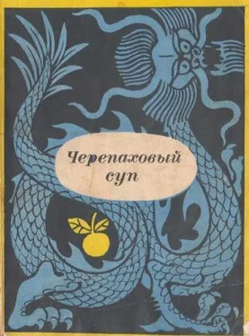 Антология Черепаховый суп. Корейские рассказы XV-XVII веков обложка книги