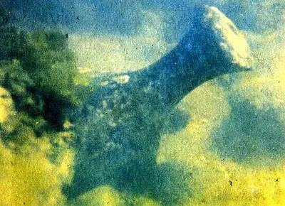 Рис 2526 Первые находки Рис 27 Подготовка к работе подводного фотоаппарата - фото 38