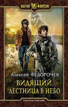 Алексей Федорочев Лестница в небо (СИ) обложка книги