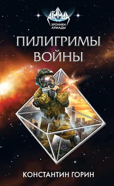 Константин Горин Пилигримы войны обложка книги