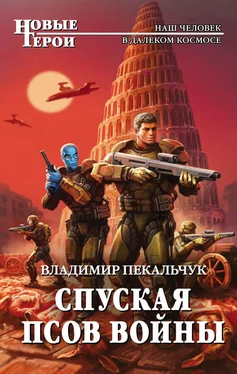 Владимир Пекальчук Спуская псов войны обложка книги