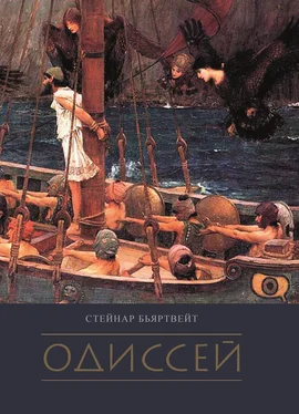 Стейнар Бьяртвейт Одиссей [litres] обложка книги