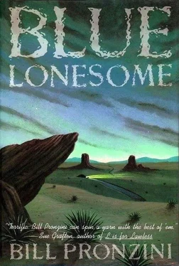 Билл Пронзини Blue Lonesome обложка книги