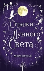 Мара Вульф - Стражи лунного света [litres]