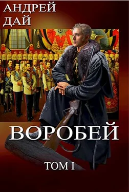 Андрей Дай Воробей, том 1 обложка книги