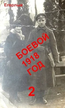 Егорлык Боевой 1918 год 2