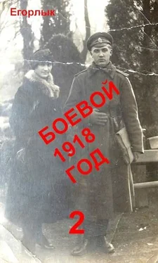 Егорлык Боевой 1918 год 2 обложка книги