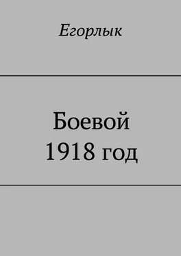 Егорлык Боевой 1918 год обложка книги