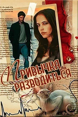 Марина Светлая Привычка разводиться обложка книги