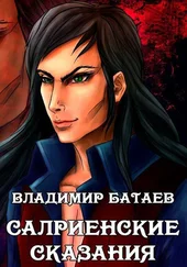 Владимир Батаев - Салриенские сказания [СИ]
