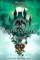 Двериндариум Купить Книги Б У