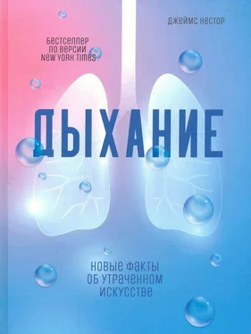 Джеймс Нестор Дыхание. Новые факты об утраченном искусстве обложка книги