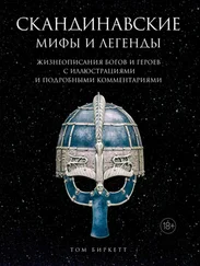 Том Биркетт - Скандинавские мифы и легенды. Жизнеописания богов и героев с иллюстрациями и подробными комментариями