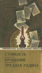 Борис Микулич - Трудная година