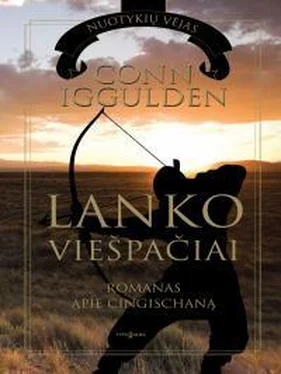 Конн Иггульден Lanko viespaciai [калибрятина] обложка книги