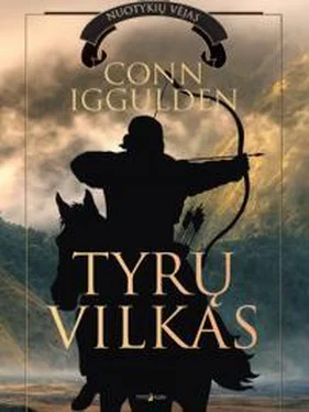 Конн Иггульден Tyru vilkas [калибрятина] обложка книги