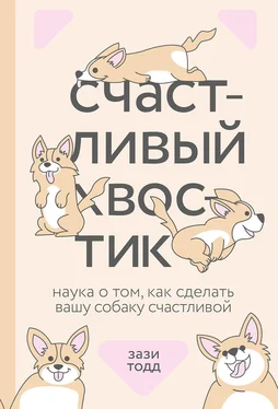 Зази Тодд Счастливый хвостик обложка книги